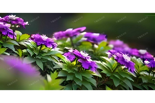 武汉康健医院：舒筋活络，按摩养生新体验